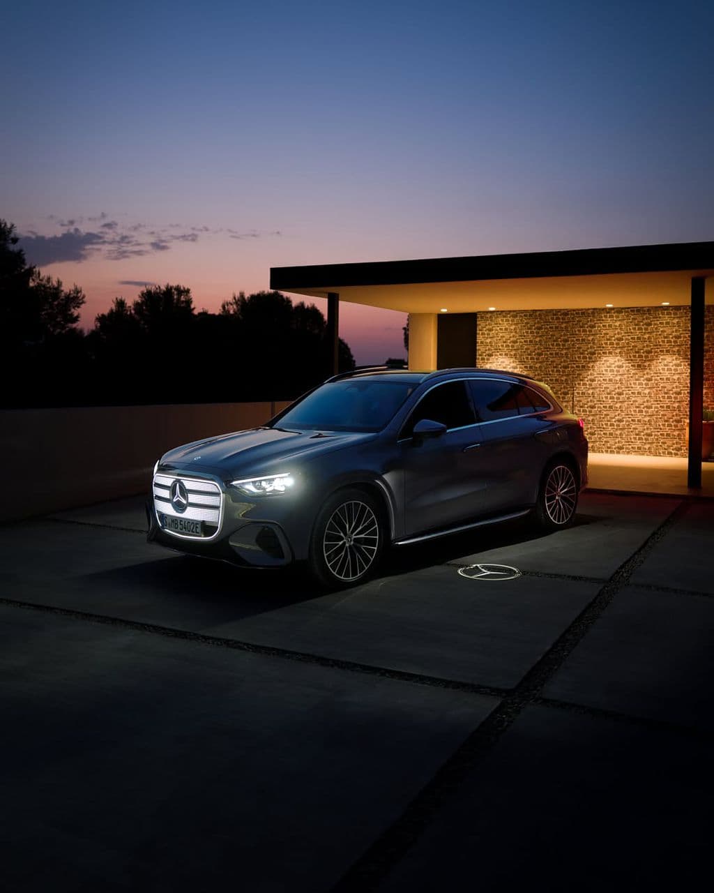 Professional service